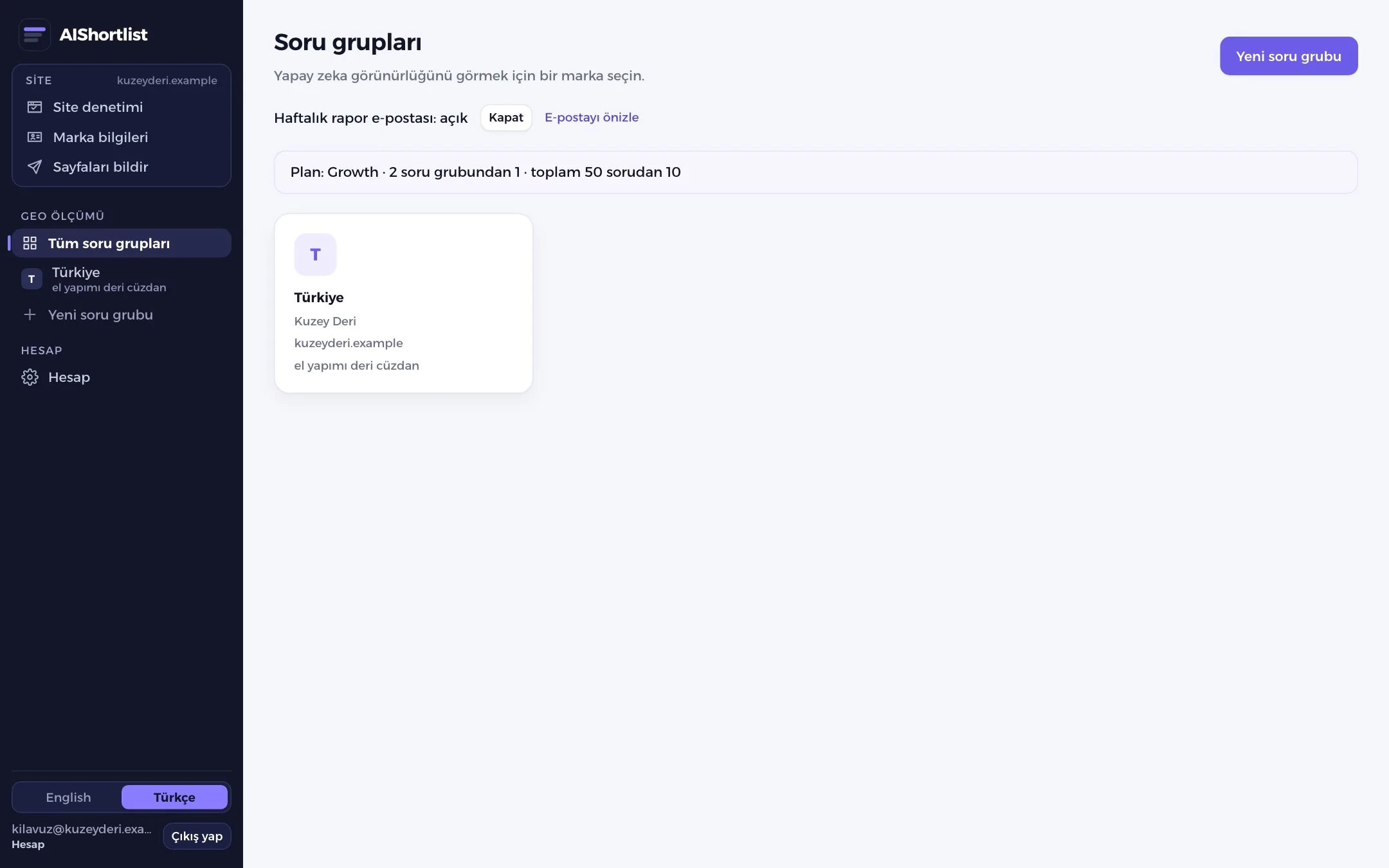 Tüm soru grupları ekranı ve e-posta tercihi